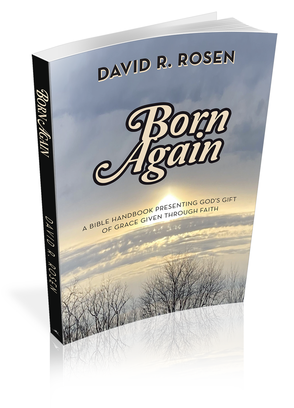 ABOUT THE BOOKS - David R. Rosen